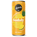 REMEDY SODALY PREBIOTIC SODA