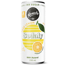 REMEDY SODALY PREBIOTIC SODA